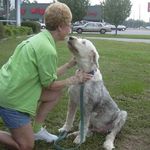 /images/dogs/10/rESCUE DOGS 005-crop.jpg